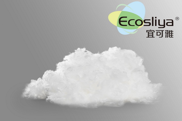 詮釋竹風雅韻，&ldquo;纖&rdquo;動綠色風尚！絲麗雅系列產品品牌即將于柯橋發布