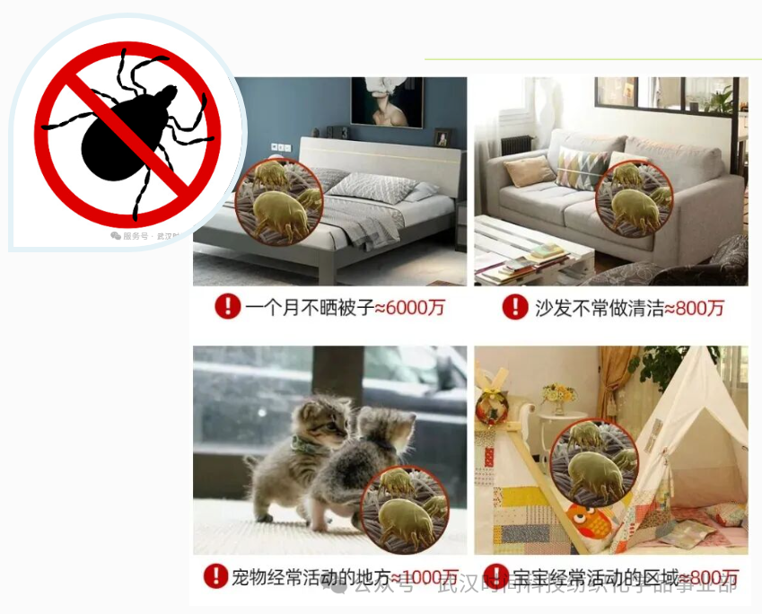 防螨！已成為健康的&ldquo;新剛需&rdquo;--武漢時間科技推出紡織品防螨整理劑喜化&reg;植螨零